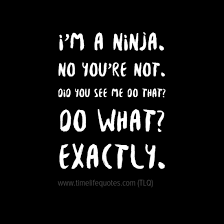 Most Popular Funny Ninja Quotes Short Funny Quotes Love Quotes Funny Funny Quotes