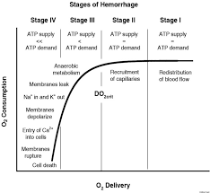 Image result for Hemorrhage Classification
