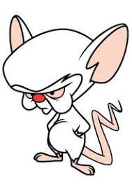 The pinky and the brain reunion special. Pinky And The Brain Wikiwand