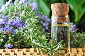 Rosemary oil is beneficial to hair growth and hair health for many reasons: The Amazing Benefits Of Pure Natural Rosemary Essential Oil For Skin Meraki Essentials