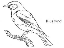 Concentration on repetitive patterns helps to distract from worries and problems, relax, feel inner peace and at the same time a rush of inner strength and creative energy. Bluebird Coloring Page Animals Town Animals Color Sheet Bluebird Printable Coloring