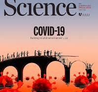 Best scientific journal covers from 2022