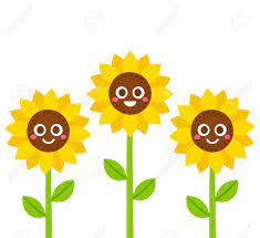 We did not find results for: Cute Cartoon Smiling Sunflowers Vector Illustration Flowers With Smiley Faces Royalty Free Cliparts Vectors And Stock Illustration Image 88077069