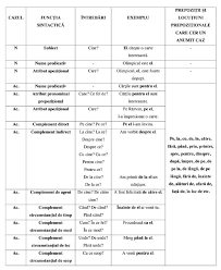 Plăcerea mea este a citi. Care Versus Pe Care Si Alte Pronume Buclucase Explicatii Si Exercitii Rezolvate