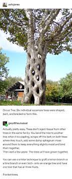 Pin On Projects To Try