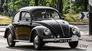 Image result for Medium Brown 1949 Beetle
