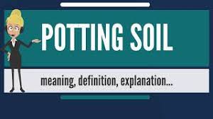 Un morto per una polmonite legata al batterio, 16 i casi. What Is Potting Soil What Does Potting Soil Mean Potting Soil Meaning Definition Explanation Youtube