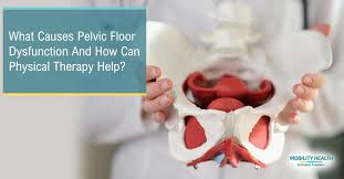 Image result for Pelvic Floor Dysfunction