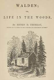 Bushcraft night in the woods, cooking and chilling. The Project Gutenberg Ebook Of Walden By Henry David Thoreau