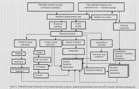 Pdf Meconium Aspiration Syndrome Pathophysiology And Prevention Semantic Scholar