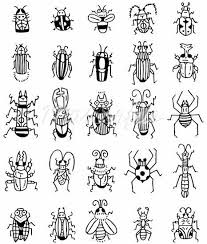 Hand Draw Insect Icon Stock Photos Insect Art Art Handouts How To Draw Hands