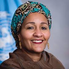 Below you will find our staff profiles showcasing academic experience, expertise, areas of teaching and research excellence. H E Dr Amina J Mohammed Wise