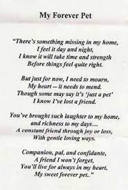 Doc I Can T Do This Again Bobtown Dog Poems Pet Poems Losing A Pet