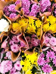 We did not find results for: Festive Beautiful Fresh Flowers In Bouquets And Pots In Store Stock Photo Picture And Royalty Free Image Image 119083068