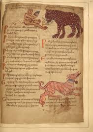 1 000 Year Old Illustrated Guide To The Medicinal Use Of Plants Now Digitized Put Online Open Culture