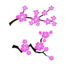 Cherry Blossom Svg Cuttable Design Cherry Blossom Painting Cherry Blossom Japanese Cherry Blossom