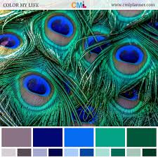 Sep 14, 2020 · the fruits can be purchased from the marketboard or through gardening, and make sure to follow the feeding order on the results page of the color calculator so that the process goes smoothly. Peacock Green Colour Combination For Wall Novocom Top