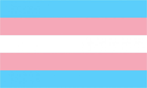 Check spelling or type a new query. Daniel Quasar Redesigns Lgbt Rainbow Flag To Be More Inclusive
