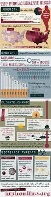 Pin By Emma Joubert On Epidemiology Environmental Health Infographic Health Public Health Health Risks