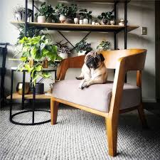 Hanging plants are the perfect way to fill your home with joy. 7 Indoor Plants Decoration Ideas To Make Your House Stunning Women Fashion Lifestyle Blog Shinecoco Com