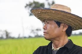 Vietnamese Farmer stock photo. Image of asia, country