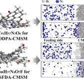 Sub-nanoconfined selective transport and competitive ...