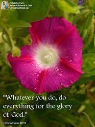 Pin On Bible Verses
