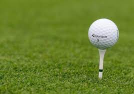 Learn from top pros like tiger, rory and bryson and watch original shows, golf films, instruction series and more. Briggs 5 Things I Would Change About Golf The Blade