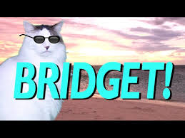 Wrong place, right time chapter text. Happy Birthday Bridget Epic Cat Happy Birthday Song Youtube