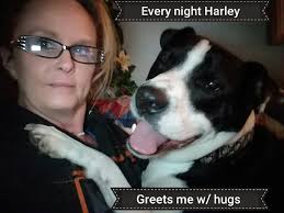 met this super happy boy today. His name was Harley, 11/10 would pet again!