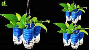 Self Watering For Hanging Money Plant Auto Watering System For Plants O Organic Plants Plants In Bottles Plants