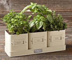 Charming Planters For Kitchen Herb Gardens Herb Pots Herb Garden In Kitchen Kitchen Herbs