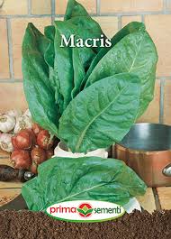 Plante medicinale folosite in tratamente naturiste. Seminte De Macris Plantmaster
