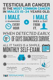 Testicular cancer can be deadly. Testicular Cancer A Movember Issue For Young Men The Bite