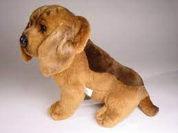 Pin On Bloodhounds