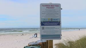 First Time Visit To Lido Key | Lido Key Vacations