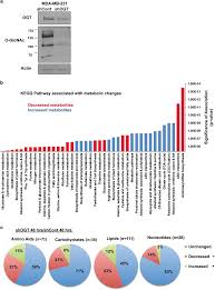 We did not find results for: Nutrient Sensor O Glcnac Transferase Controls Cancer Lipid Metabolism Via Srebp 1 Regulation Oncogene