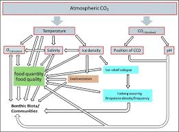 Flow Chart Of The Main Effects Climate Change Caused In Open I