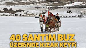 Besinci Kattan Dusen Kedisi Icin 190 Bin Lira Harcadi Ama Youtube