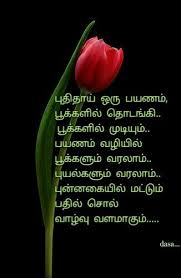 Pin By Dasa On Tamil Life Coach Quotes Blessed Quotes Morning Quotes