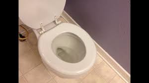 Toilets are a vital part of the home and come in all shapes and sizes; How To Quickly Get Water Out Of Your Toilet Bowl Youtube