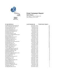 Email Campaign Report