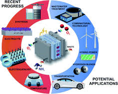 What part contains information that a plant cell uses for growth and activities. Recent Progress In Ammonia Fuel Cells And Their Potential Applications Journal Of Materials Chemistry A Rsc Publishing