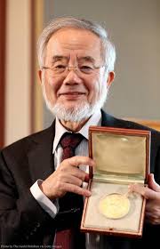 What are the mechanisms of autophagy in our cells?