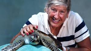 New laws proposed to protect turtles and dugongs from illegal hunting in  Far North Queensland