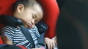 Check spelling or type a new query. Saat Bujukan Nggak Berhasil Lakukan Ini Agar Anak Mau Cepat Tidur Parenting Fimela Com