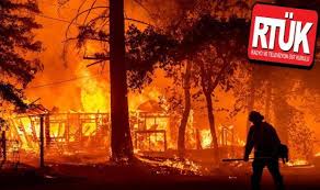 Check spelling or type a new query. Oovnue4qho W M