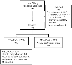 Factors That Delay Copd Detection In The General Elderly
