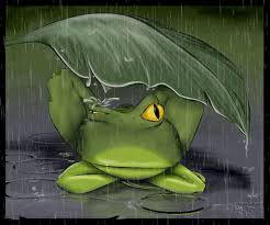 Https Encrypted Tbn0 Gstatic Com Images Q Tbn 3aand9gcqrqijjxzmng 4rra8xm3fqshbj1mmhhmyffa Usqp Cau