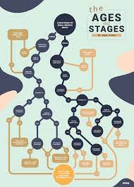When To Switch To Adult Dog Food Dog Food At Different Life Stages Bechewy